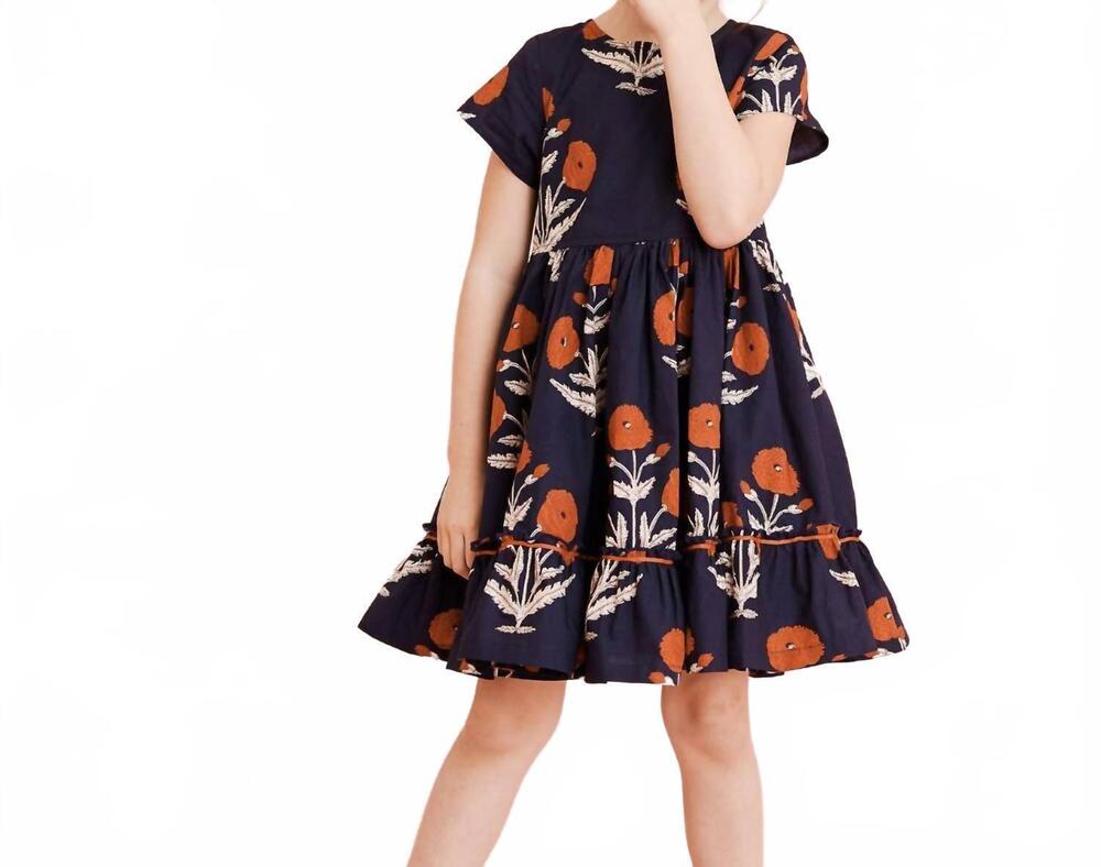 NEW PINK CHICKEN girl's niley dandelion dress in blue